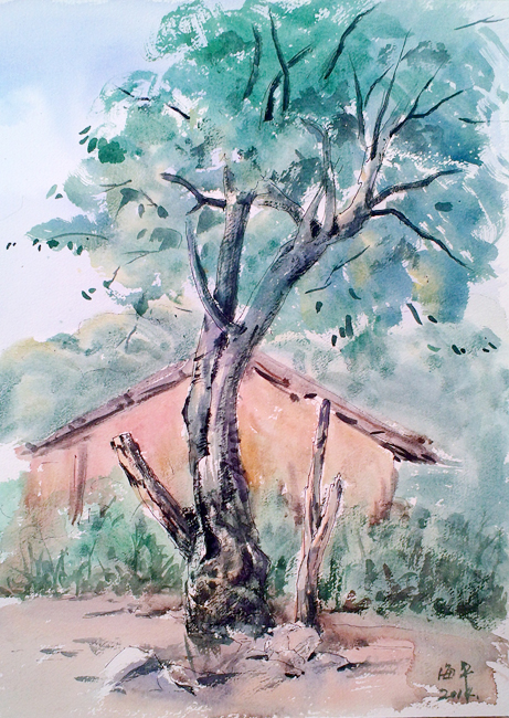 孙海平作品《龙洞村之树》钢笔淡彩 420×297mm 2014