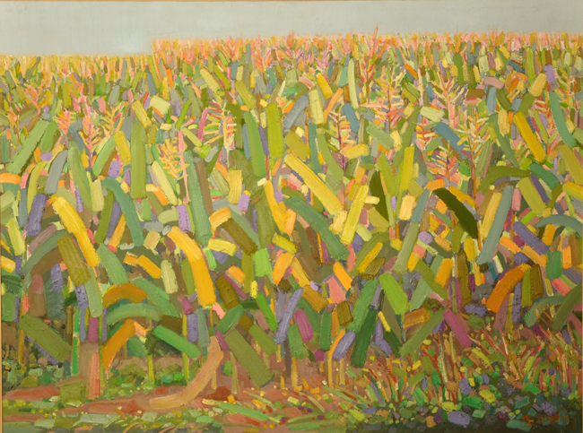 《苞谷地》107cm×80cm